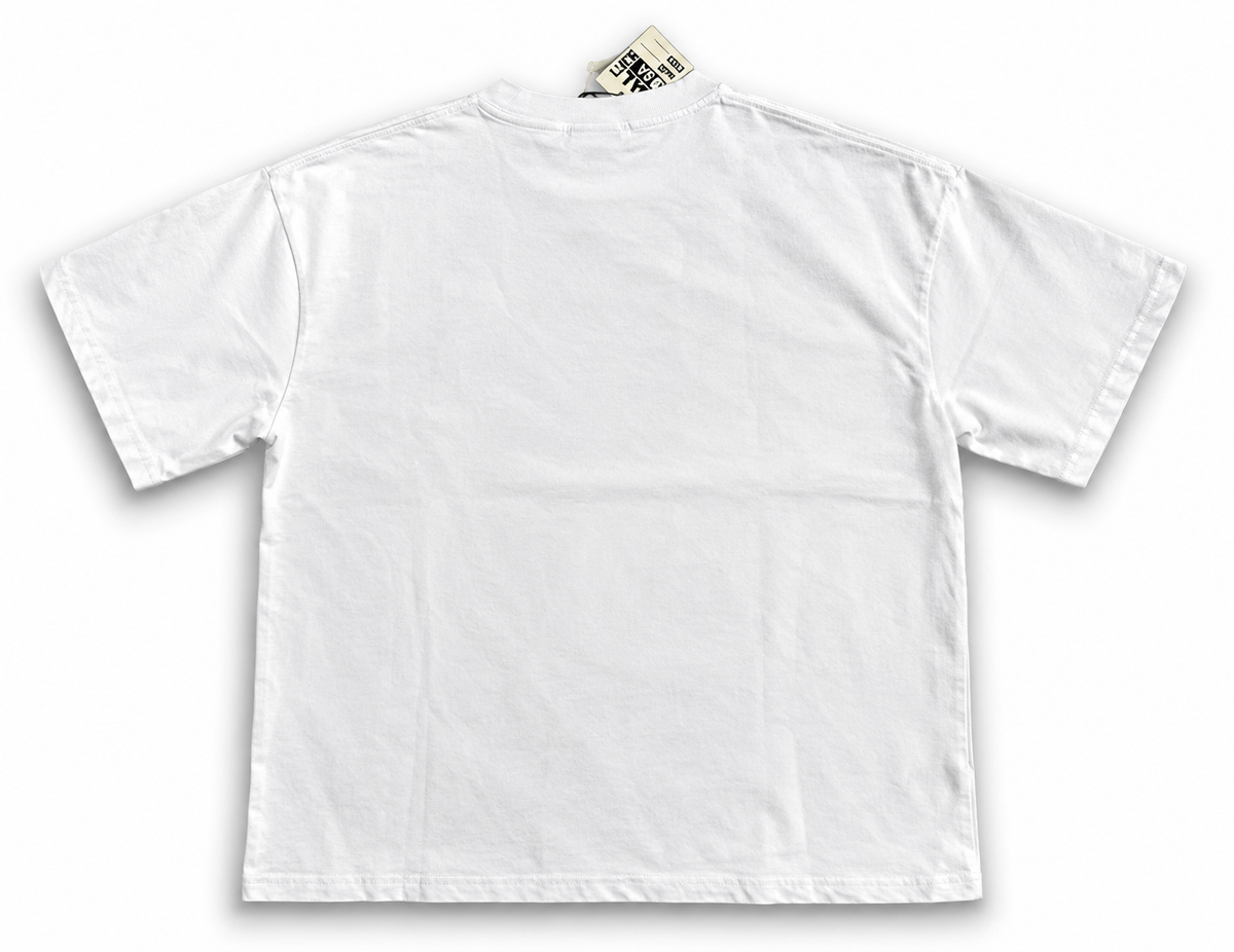 Valley T-Shirt White x Blue