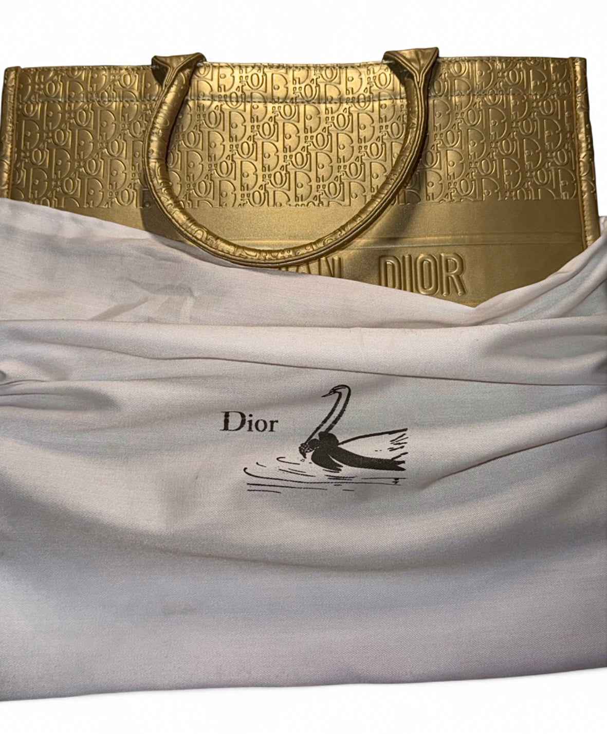 Dior Book Tote handbag