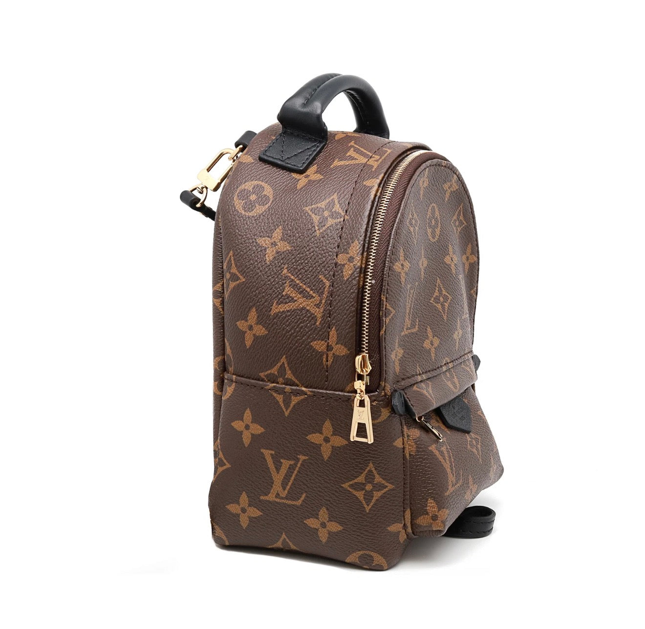 Louis Vuitton Palm Springs Mini Backpack