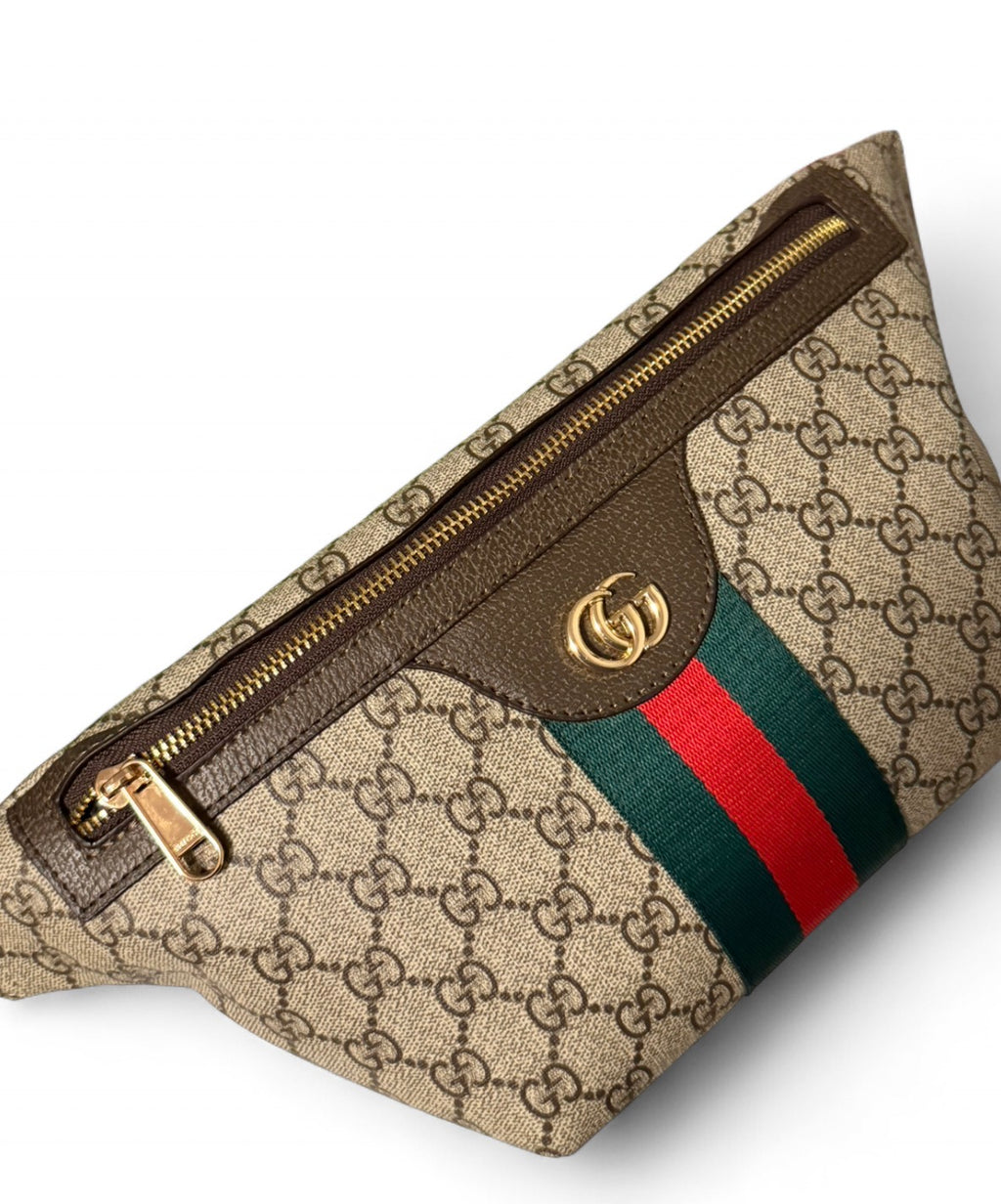 Gucci Ophidia Belt Bag