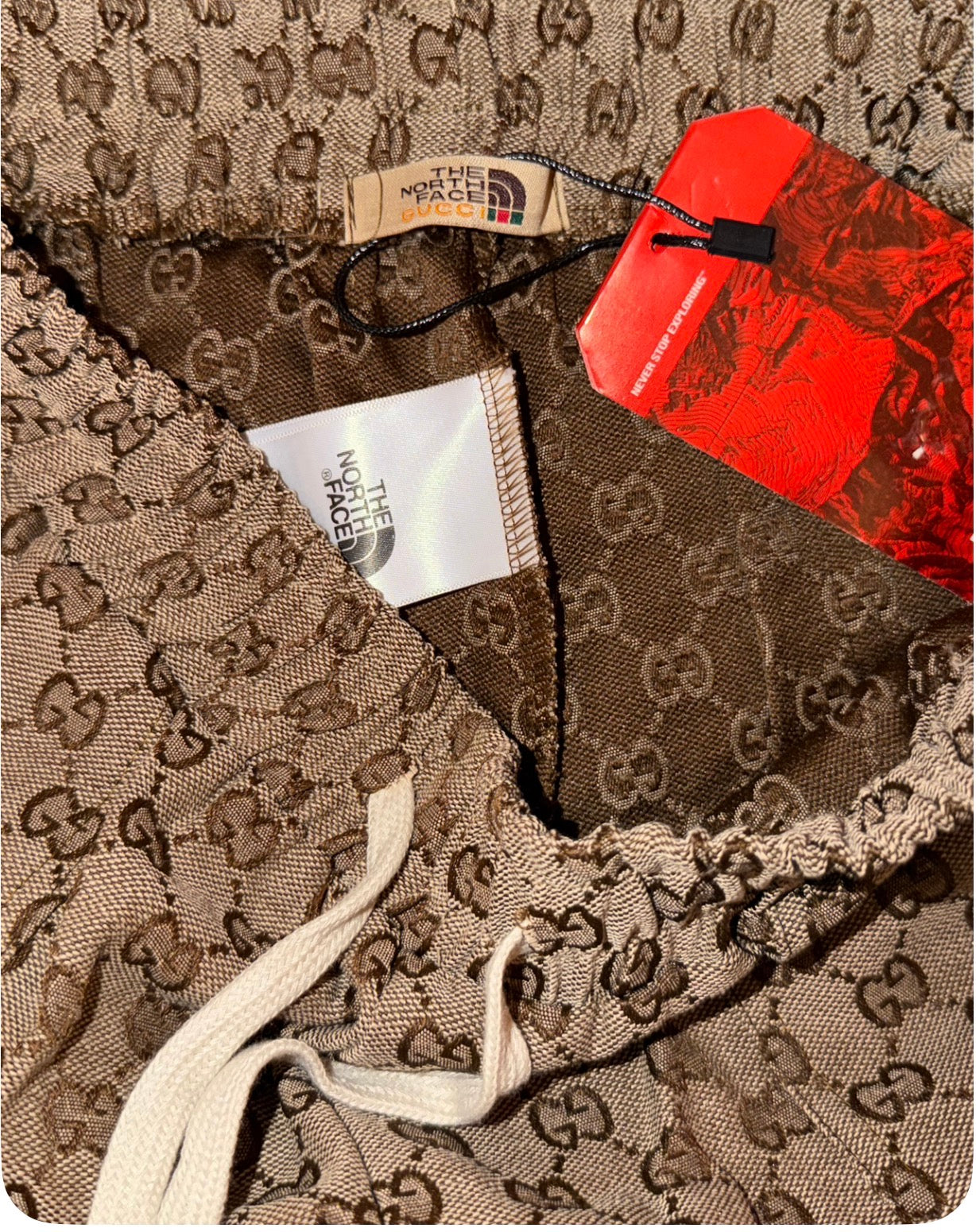 Gucci shorts in collaboration with The North Face