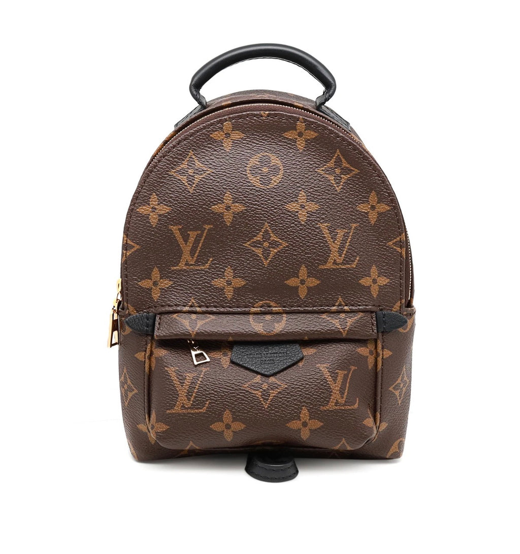 Louis Vuitton Palm Springs Mini Backpack