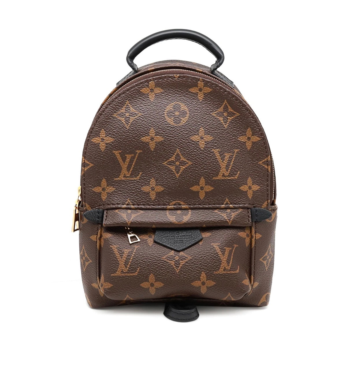 Louis Vuitton Palm Springs Mini Backpack