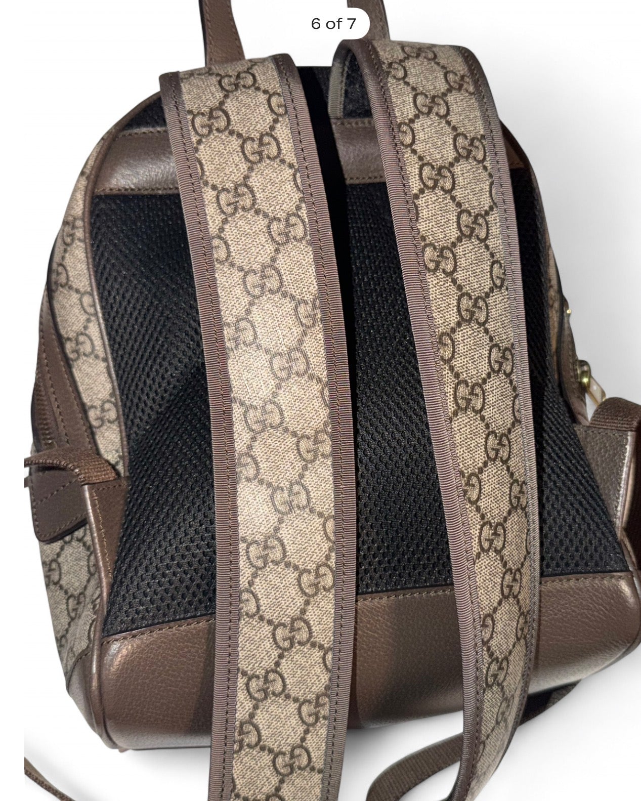 Gucci Ophidia GG Supreme “Three Little Pigs”🐷
