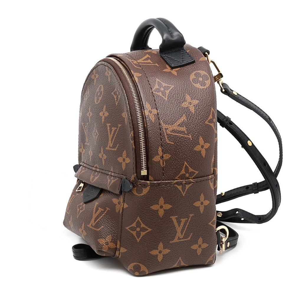 Louis Vuitton Palm Springs Mini Backpack