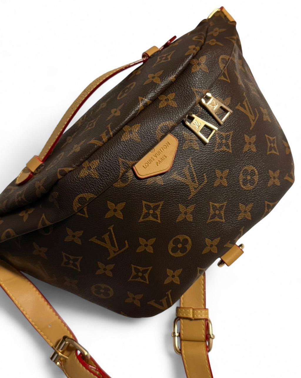 LV Bumbag in Monogram canvas