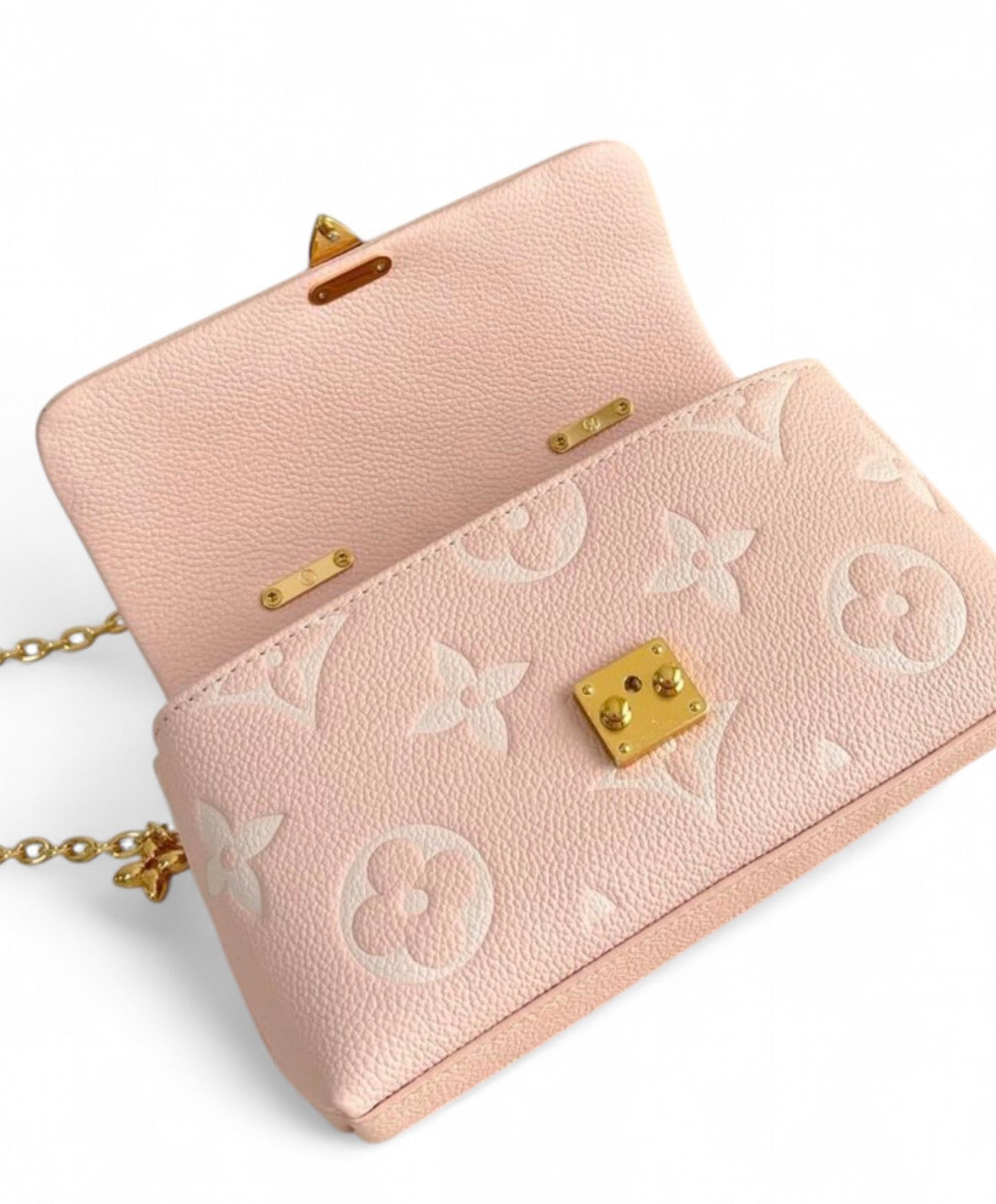 Louis Vuitton Nano Madeleine Bag