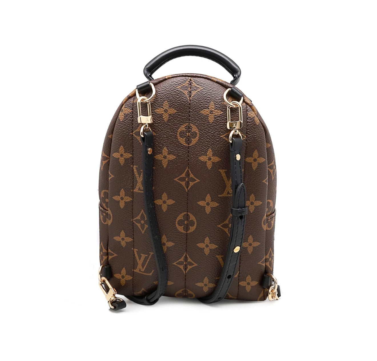 Louis Vuitton Palm Springs Mini Backpack