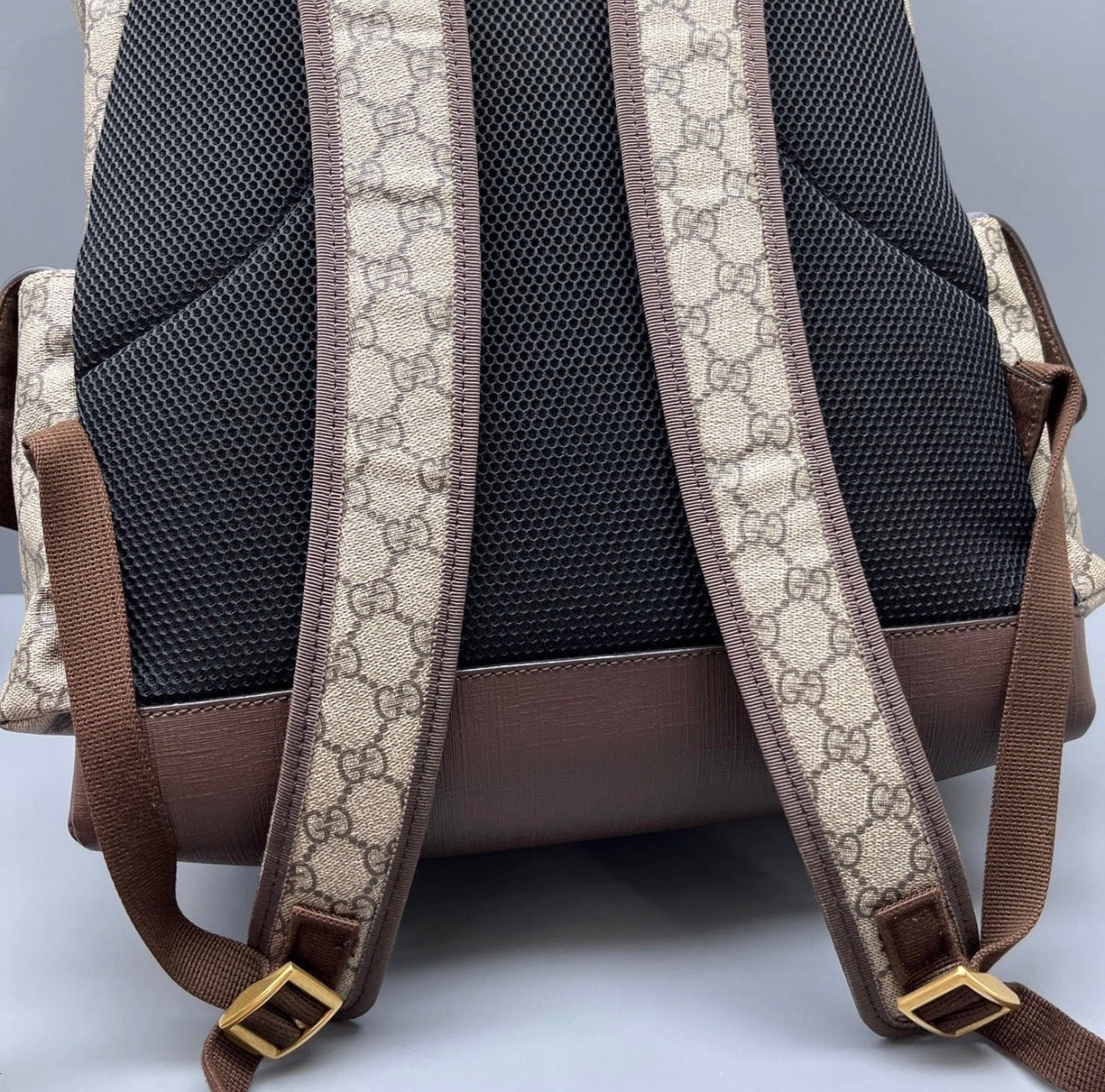 Gucci Ophidia Backpack
