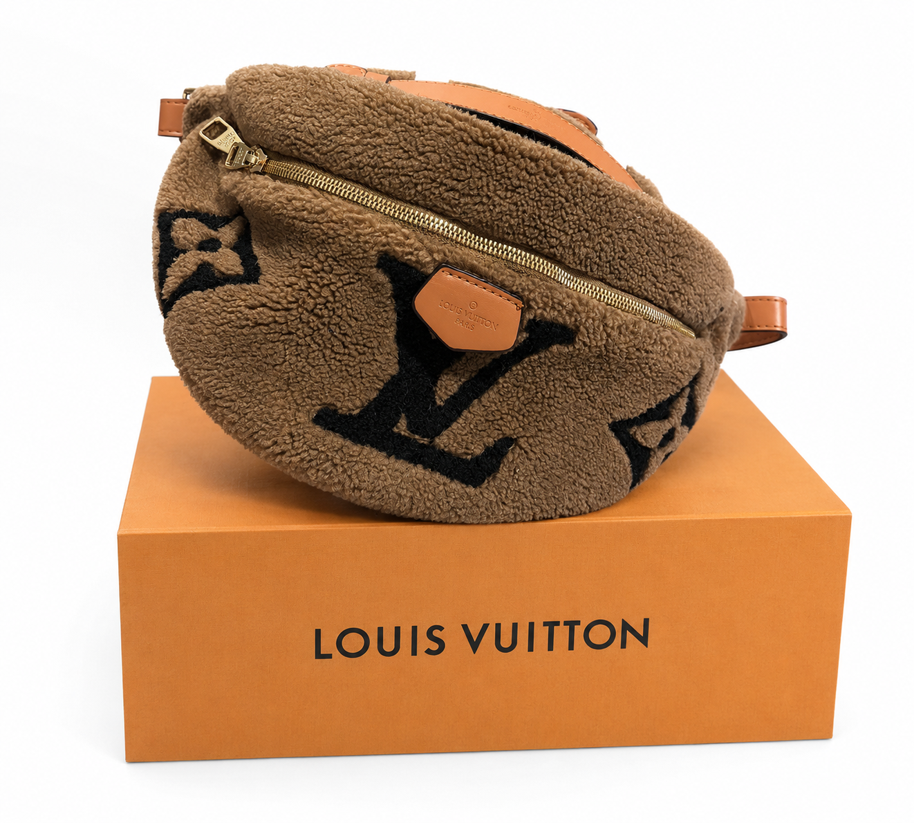 LV Teddy Bumbag Bag